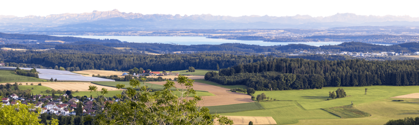 Hegau Landschaft mit dem Bodensee und den Alpen